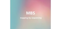 MBS (mapping-by-sequencing)