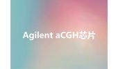 Agilent aCGH芯片检测