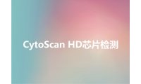CytoScan HD芯片检测