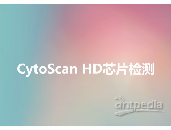 CytoScan HD芯片检测