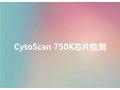 CytoScan750K芯片检测