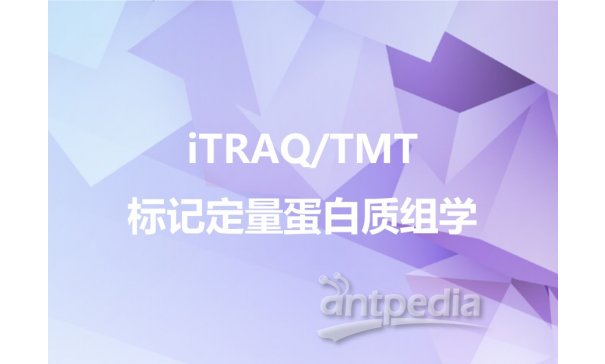 iTRAQ/TMT标记定量蛋白质组