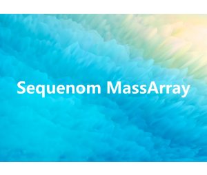 Sequenom MassArray特异位点甲基化检测