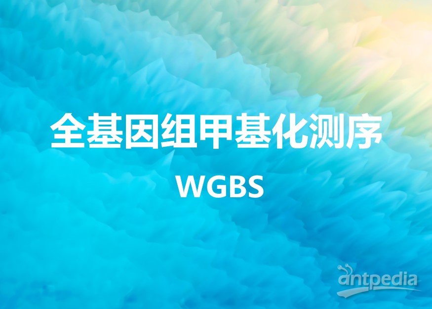 全基因组甲基化测序(WGBS