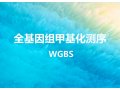 全基因组甲基化测序(WGBS)