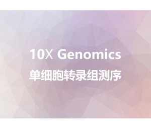 10X Genomics 单细胞转录组测序