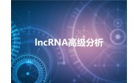 lncRNA高级分析