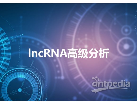 lncRNA高级分析