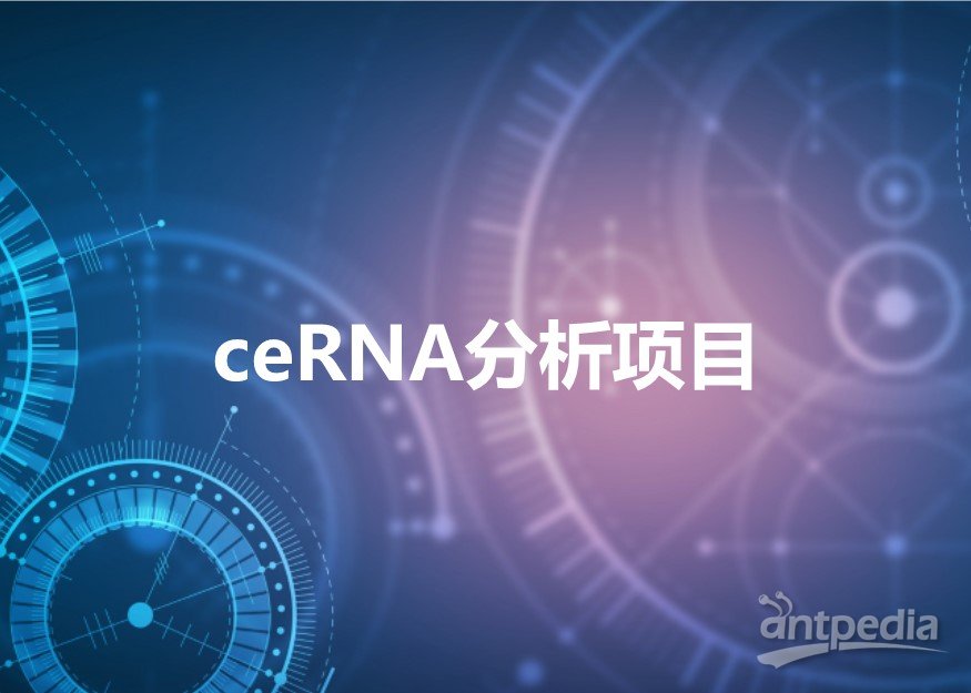 ceRNA分析<em>项目</em>