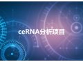 ceRNA分析项目