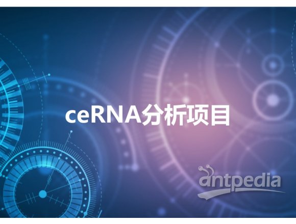 ceRNA分析项目
