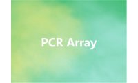 PCR ArrayPCR/定量PCR 应用于基因/测序