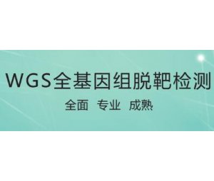 WGS全基因组脱靶检测