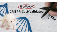 CRISPR-Cas9 Validated sgRNA服务