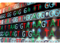 简化基因组测序
