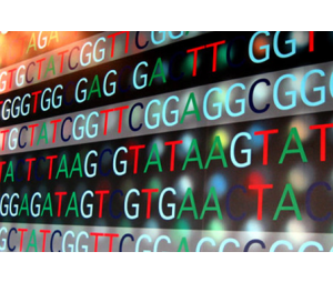 简化基因组测序