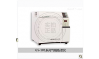 高效气相色谱氩气检测仪现货价格GS-101Y