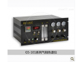 总烃分析仪，气相色谱柱GS-101C