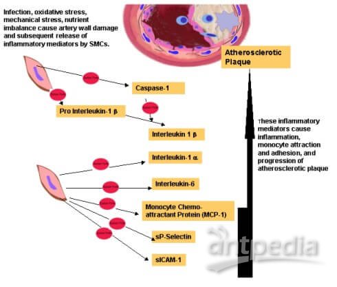 心血管<em>疾病</em>流式细胞因子检测