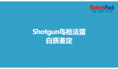 Shotgun鸟枪法蛋白质鉴定