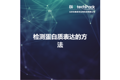 检测蛋白质表达的方法