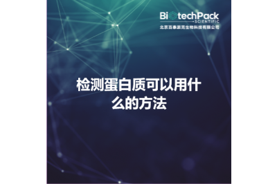 检测蛋白质可以用什么的方法