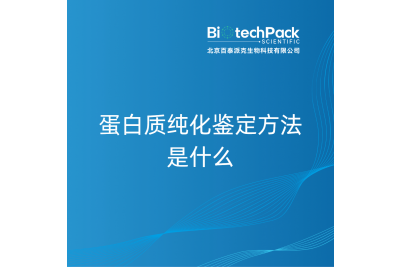 蛋白质纯化鉴定方法是什么