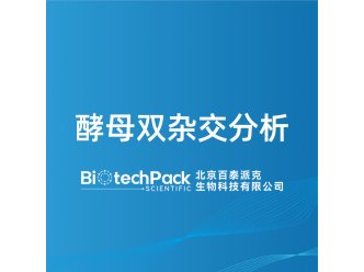 酵母双杂交分析