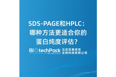 SDS-PAGE和HPLC：哪种方法更适合你的蛋白纯度评估？