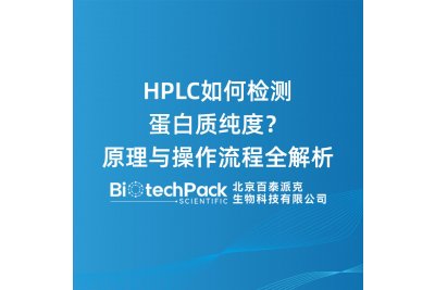 HPLC如何检测蛋白质纯度？原理与操作流程全解析