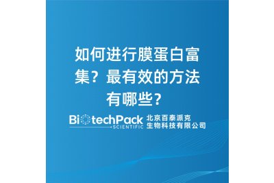 如何进行膜蛋白富集？最有效的方法有哪些？