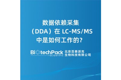 数据依赖采集（DDA）在 LC-MS/MS 中是如何工作的？