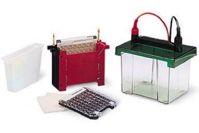 半干转膜仪是配合谁使用