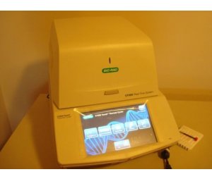 伯乐BioRad CFX96Touch实时荧光定量PCR系统