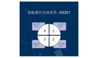 上海瑞玢-SS301-感官仿真软件