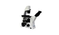 MSHOT倒置荧光显微镜MF52