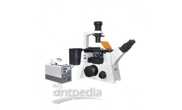 广西倒置荧光显微镜MF53