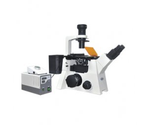 倒置荧光显微镜 MF53