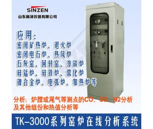 新泽TK-3000系列窑炉在线分析系统