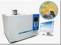硫分析仪（YL6500