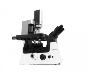 帕克 NX12 原子力显微镜 改善透明样品光学性能的可视性
