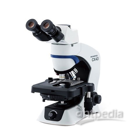 奥林巴斯CX33显微镜