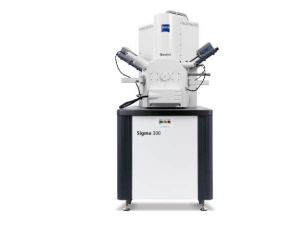 高分辨场热发射台式扫描电子显微镜 扫描电镜蔡司