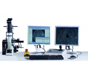 干细胞挑选克隆显微镜