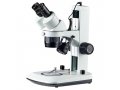 检查体视显微镜
