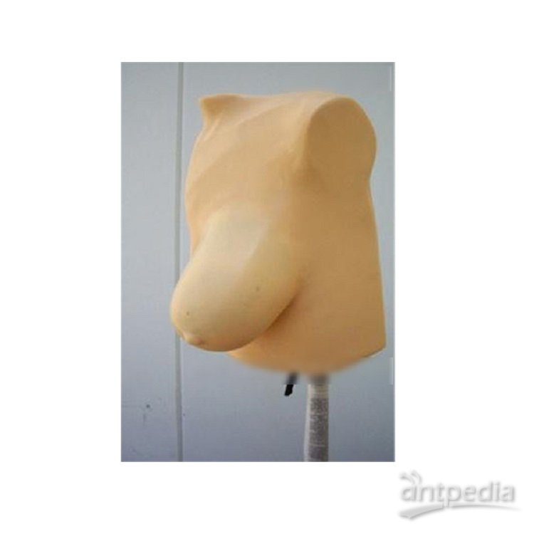 <em>RS</em>-750A美国RSD 乳腺摄影模体