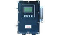 北京中瑞祥氢气分析仪 型号：ZRX-28898