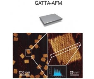 AFM原子力显微镜纳米标尺