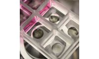 3D仿生水凝胶试剂盒