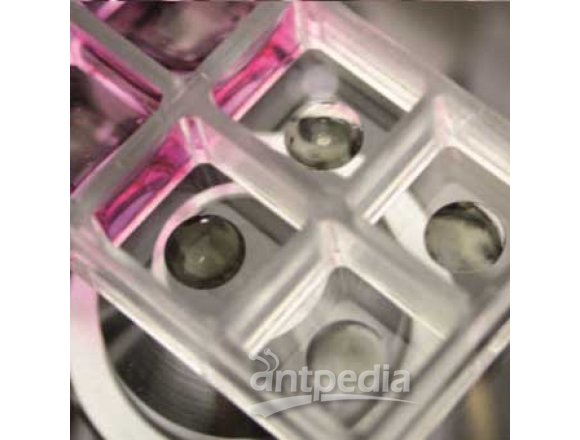 锘海3D仿生水凝胶试剂盒其它实验室常用设备